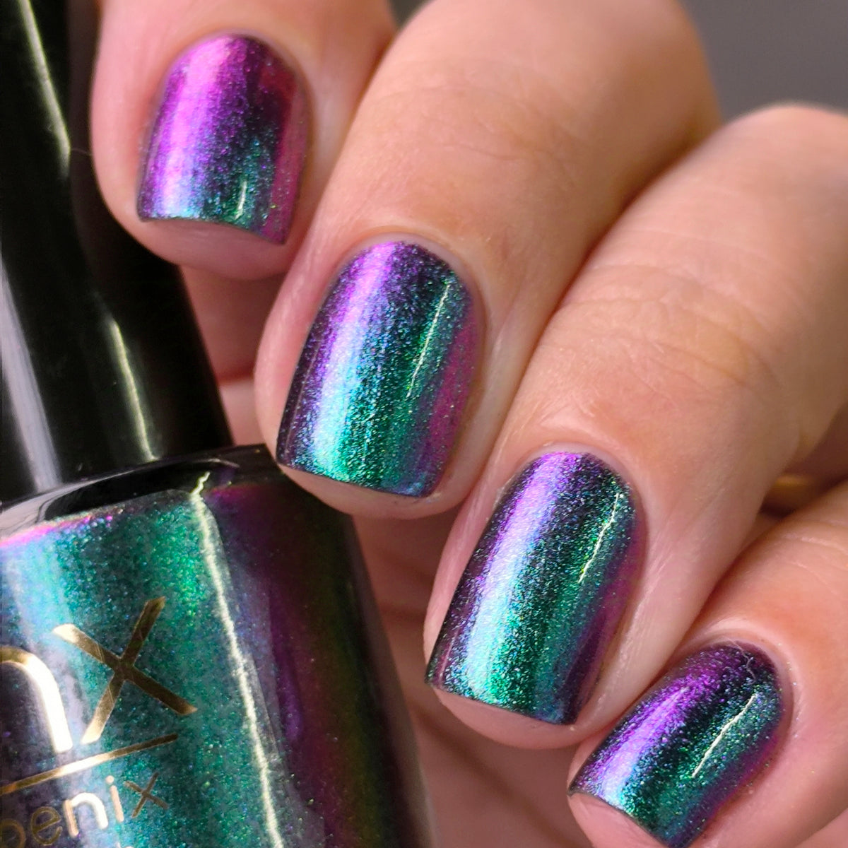 Phoenix- Hummingbirds- Violet Sabrewing Hummingbird