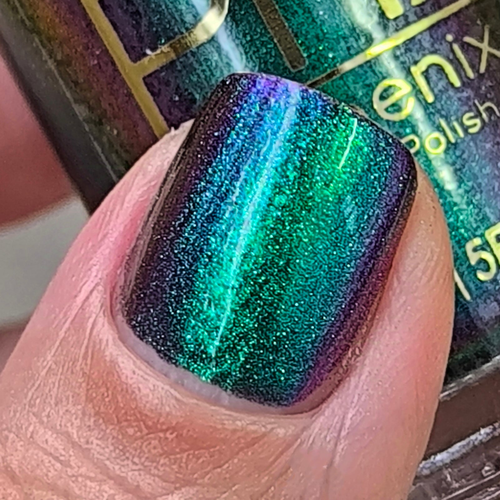 Phoenix- Hummingbirds- Violet Sabrewing Hummingbird