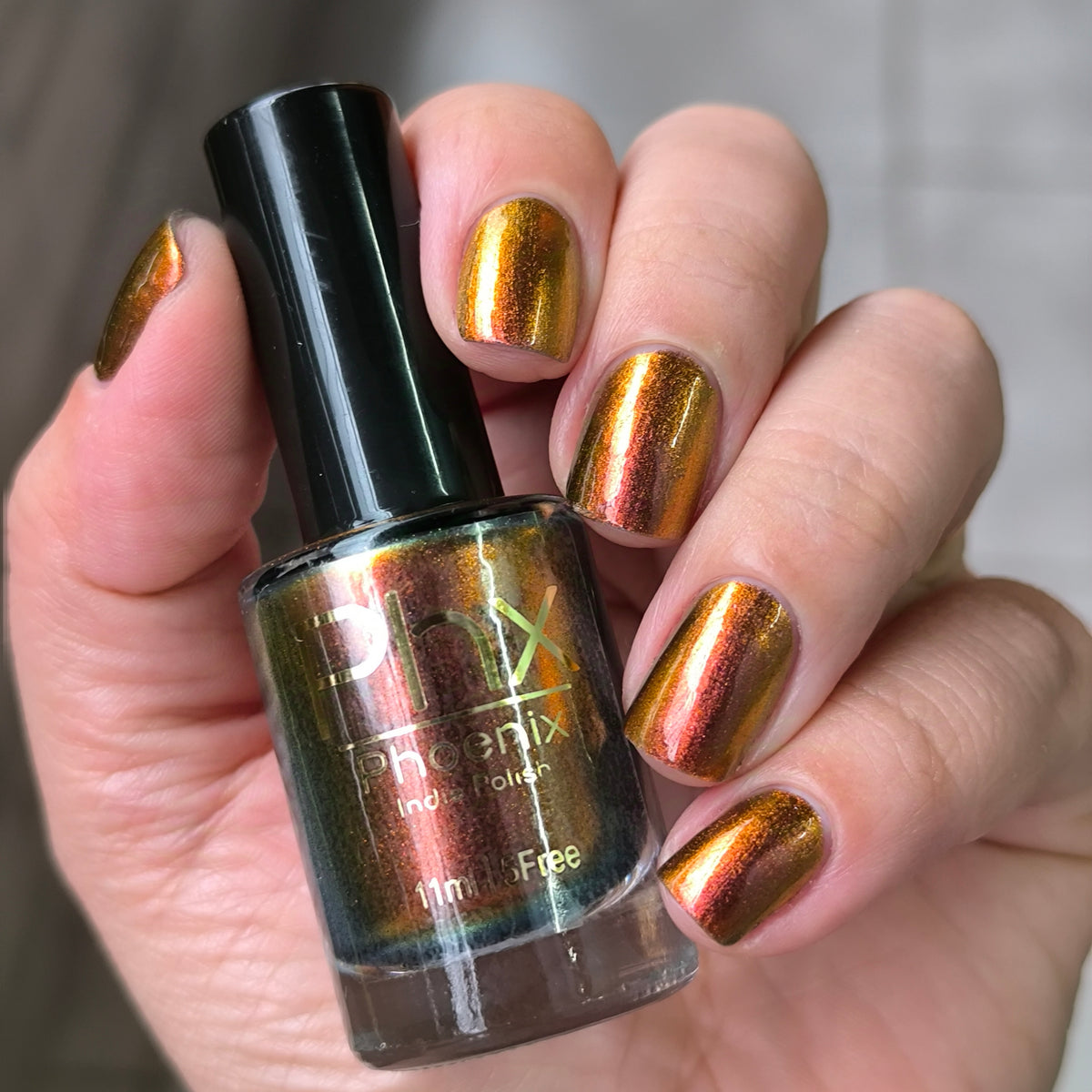 Phoenix- Hummingbirds- Rufous Hummingbird