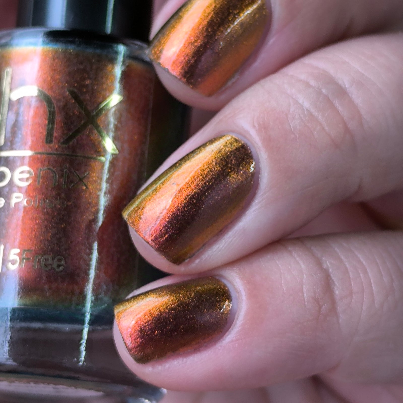 Phoenix- Hummingbirds- Rufous Hummingbird