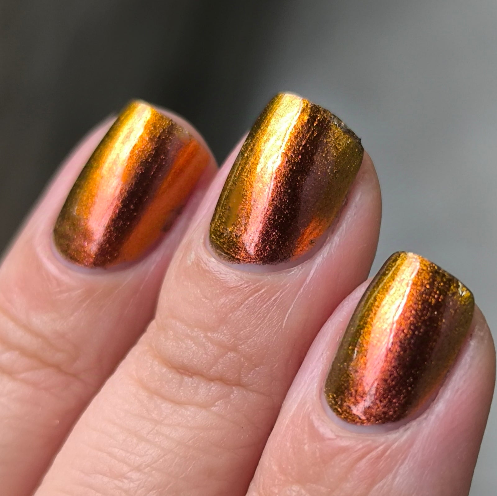 Phoenix- Hummingbirds- Rufous Hummingbird