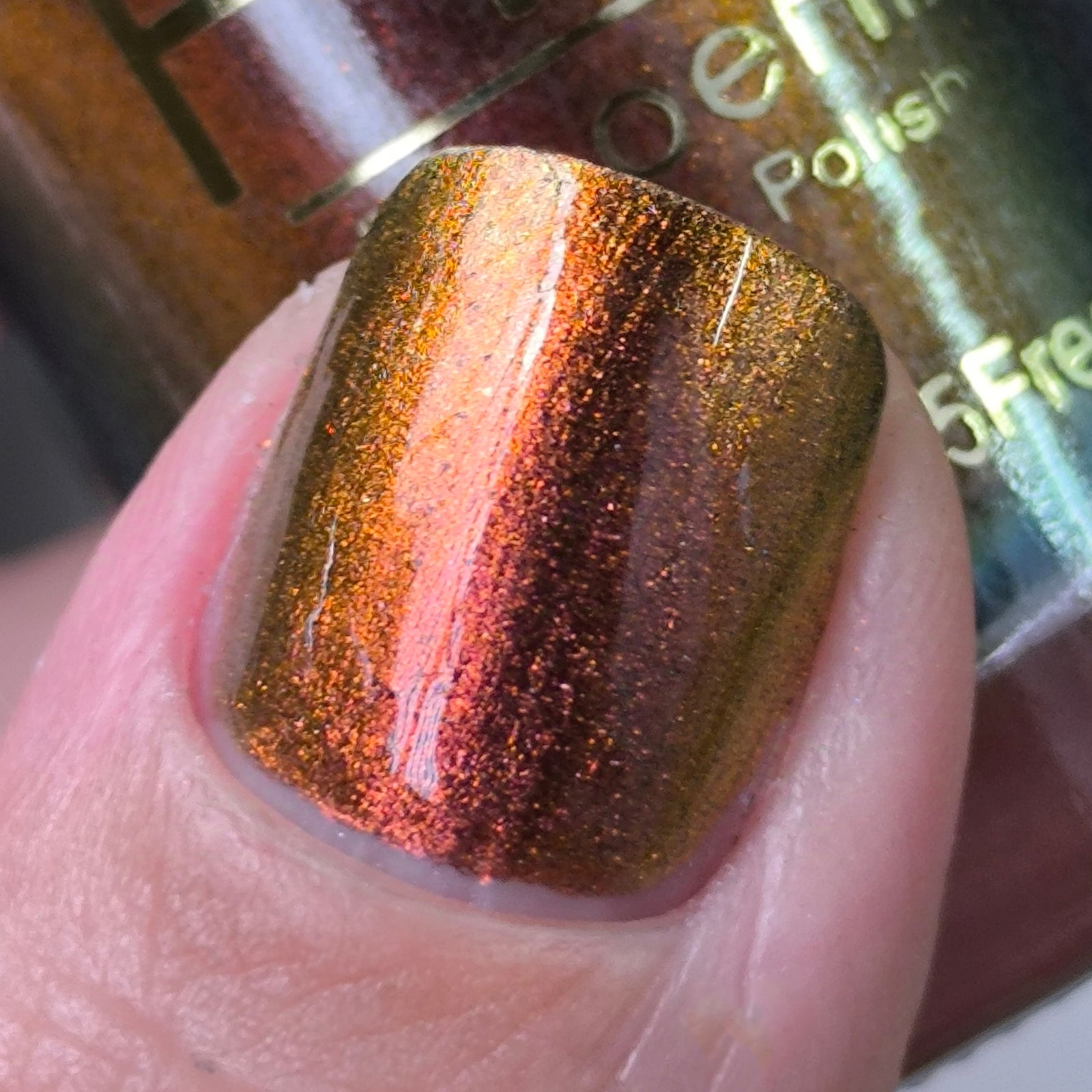 Phoenix- Hummingbirds- Rufous Hummingbird