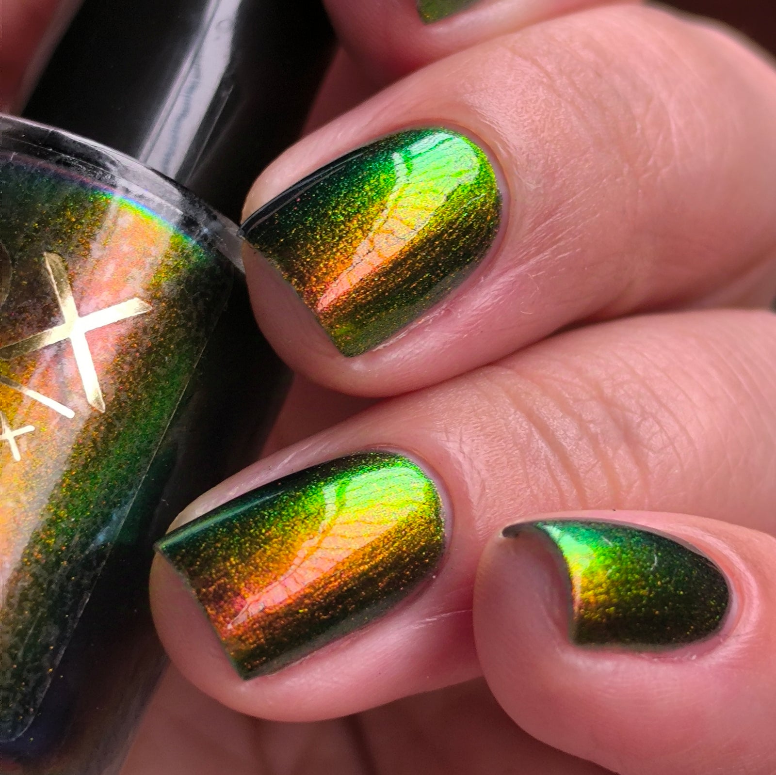 Phoenix- Hummingbirds- Ruby Throated Hummingbird