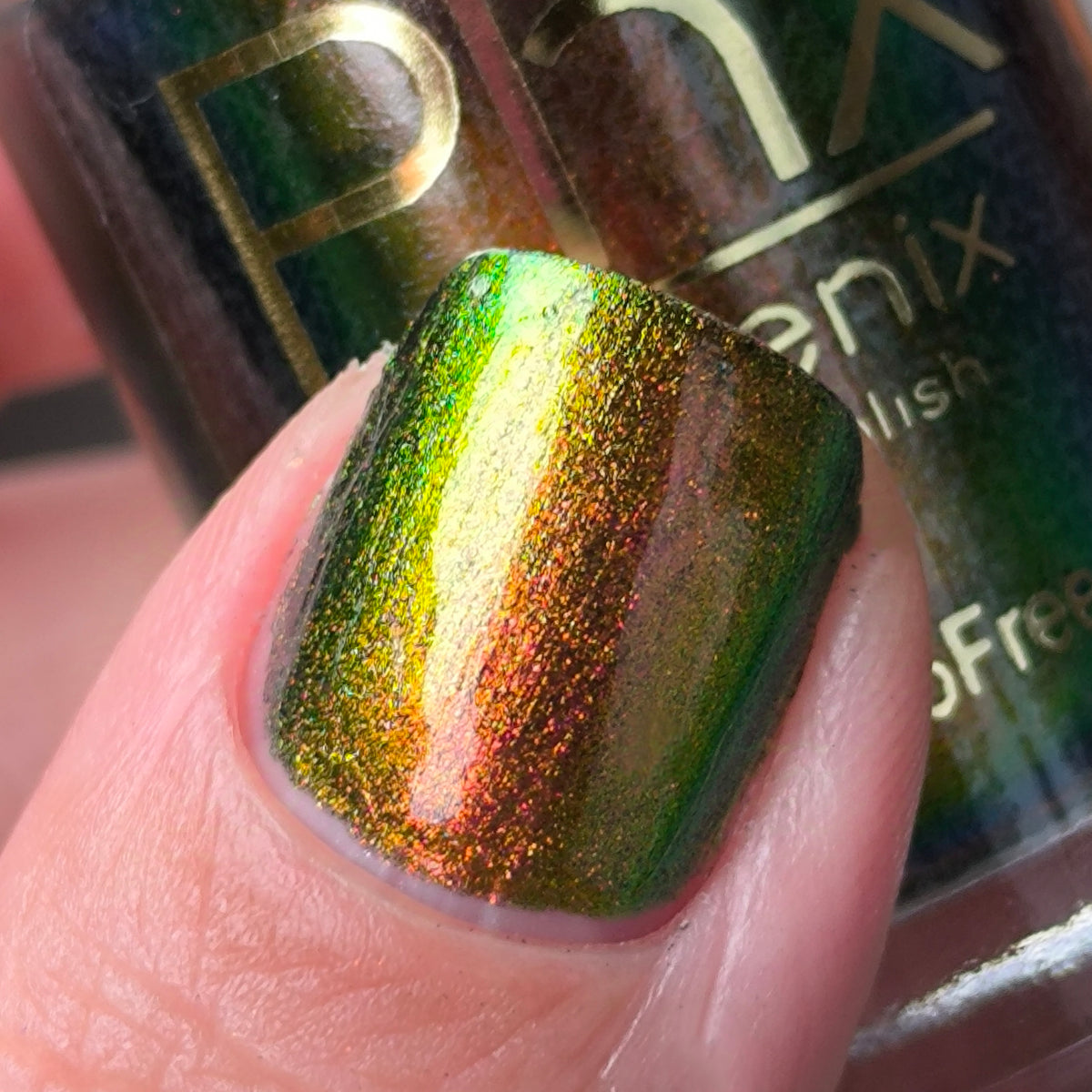 Phoenix- Hummingbirds- Ruby Throated Hummingbird