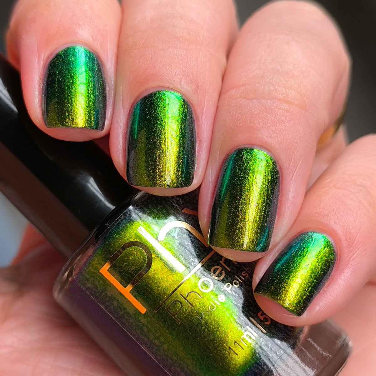 Phoenix- Hummingbirds- Green Breasted Mango