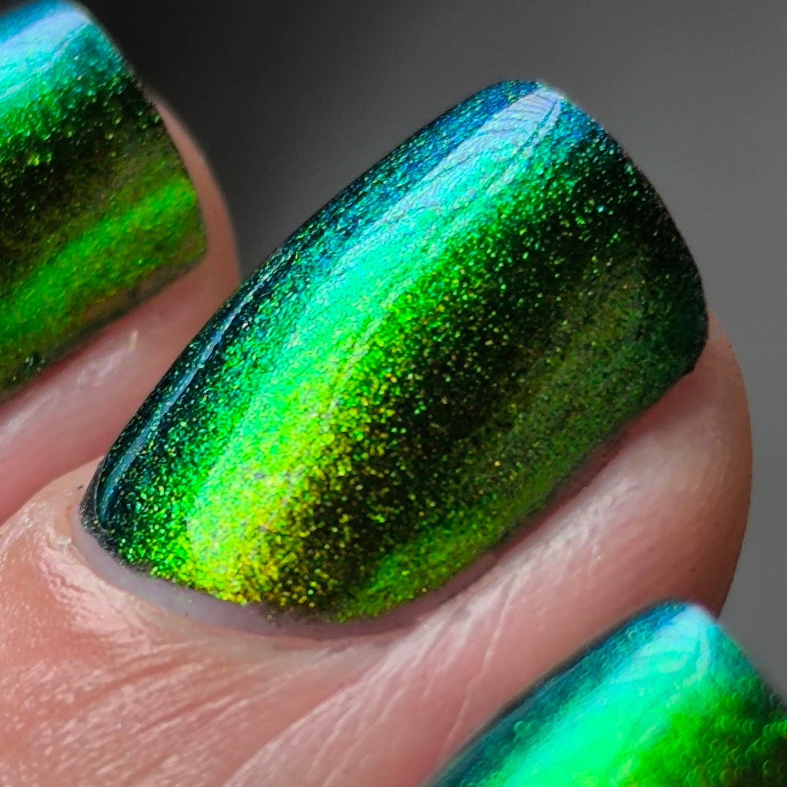 Phoenix- Hummingbirds- Green Breasted Mango