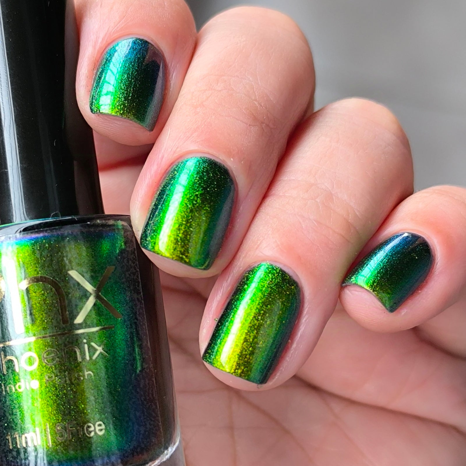 Phoenix- Hummingbirds- Green Breasted Mango