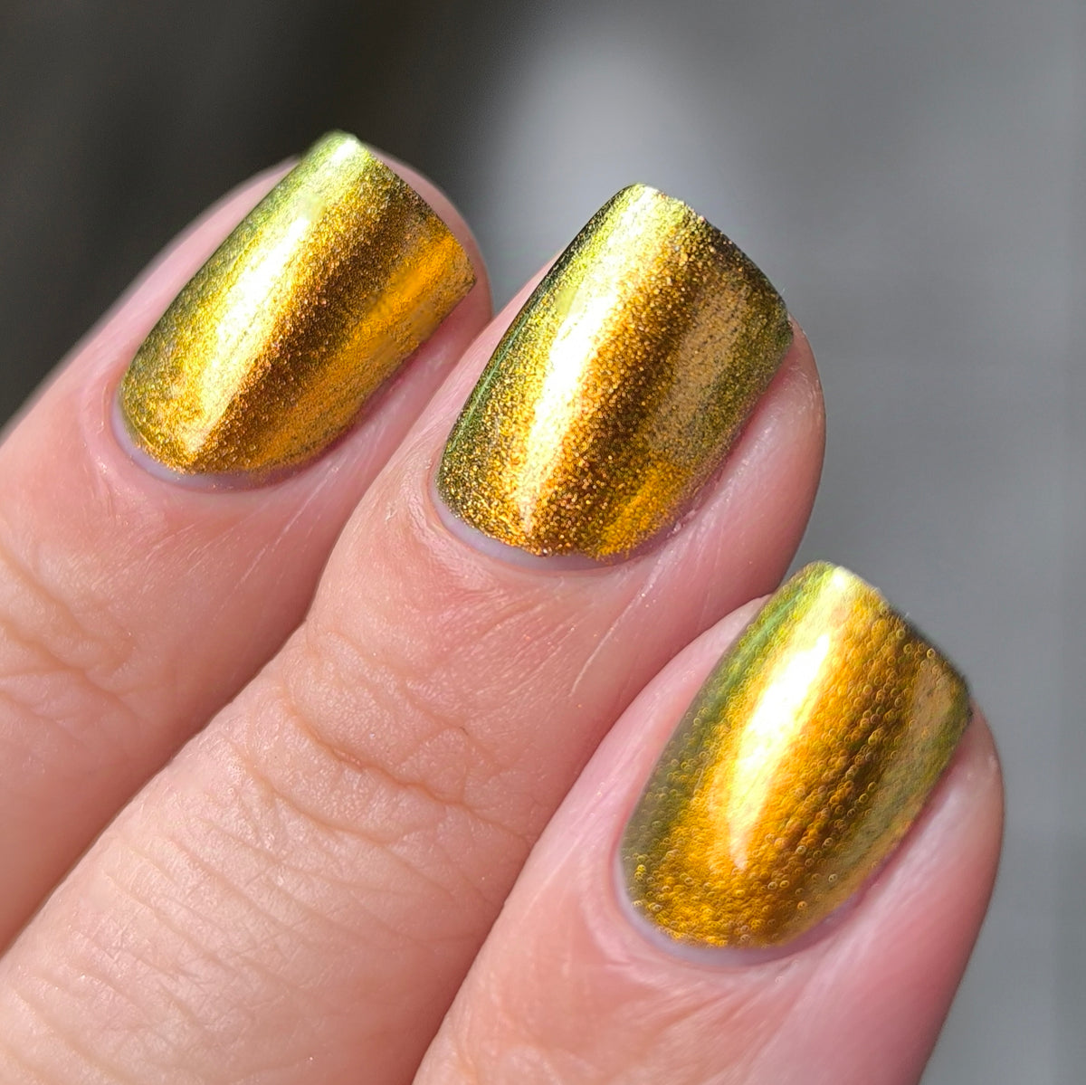 Phoenix- Hummingbirds- Golden Bellied Starfrontlet