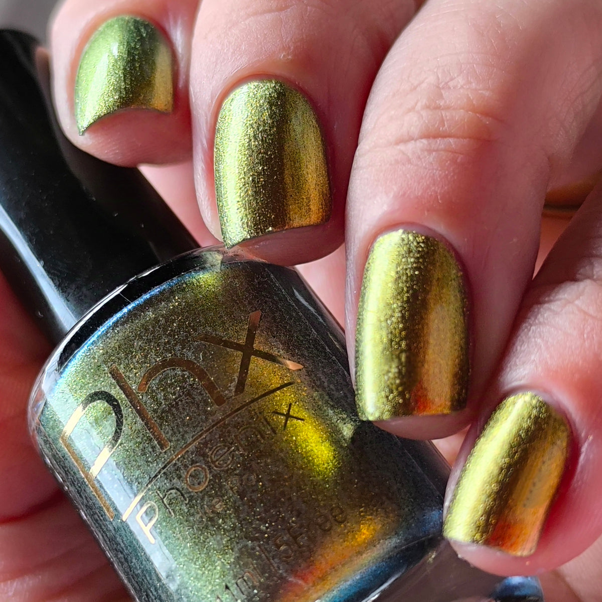 Phoenix- Hummingbirds- Golden Bellied Starfrontlet