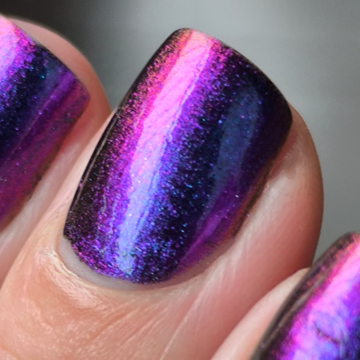 Phoenix- Hummingbirds- Garnet Throated Hummingbird