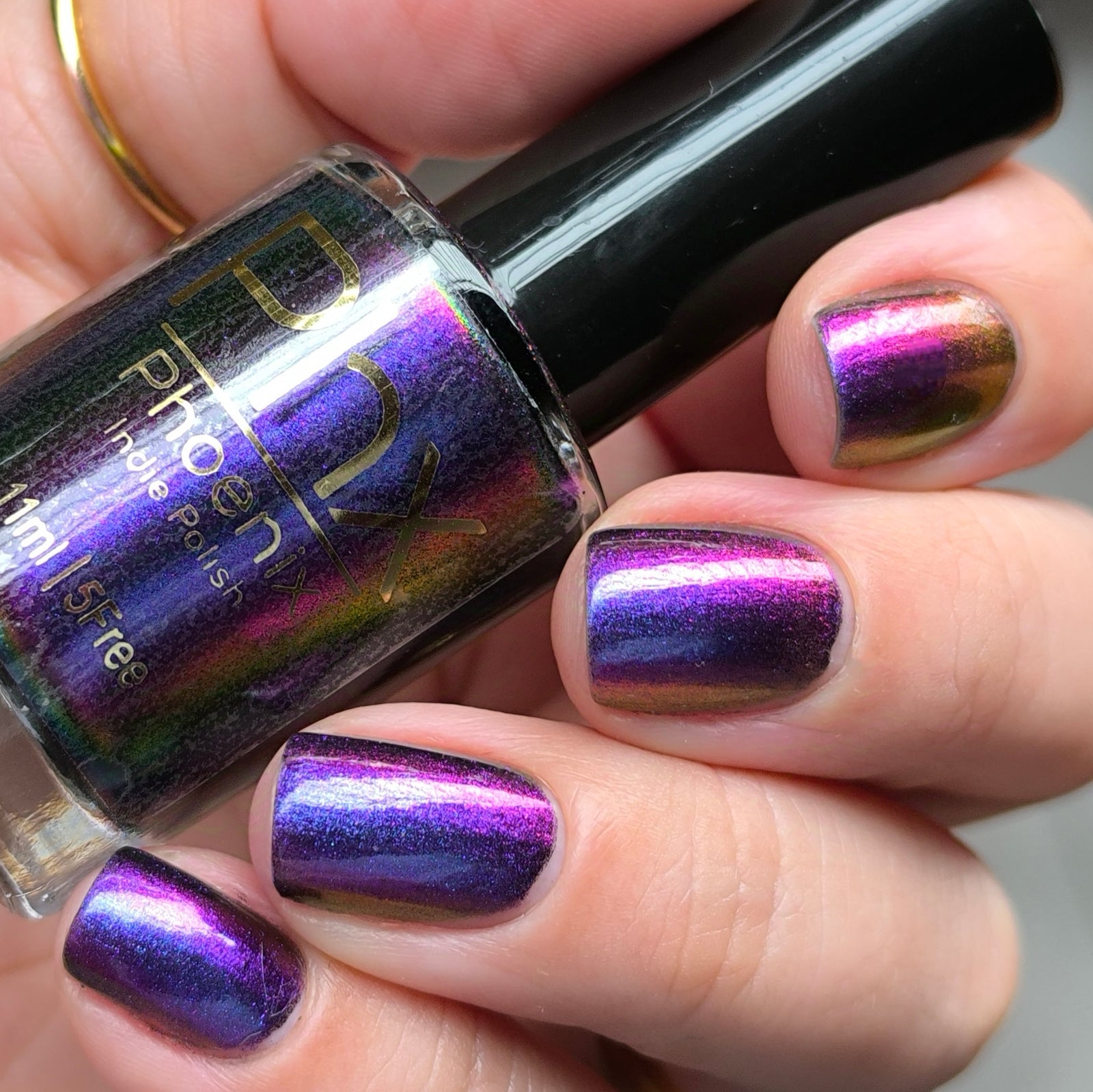 Phoenix- Hummingbirds- Garnet Throated Hummingbird