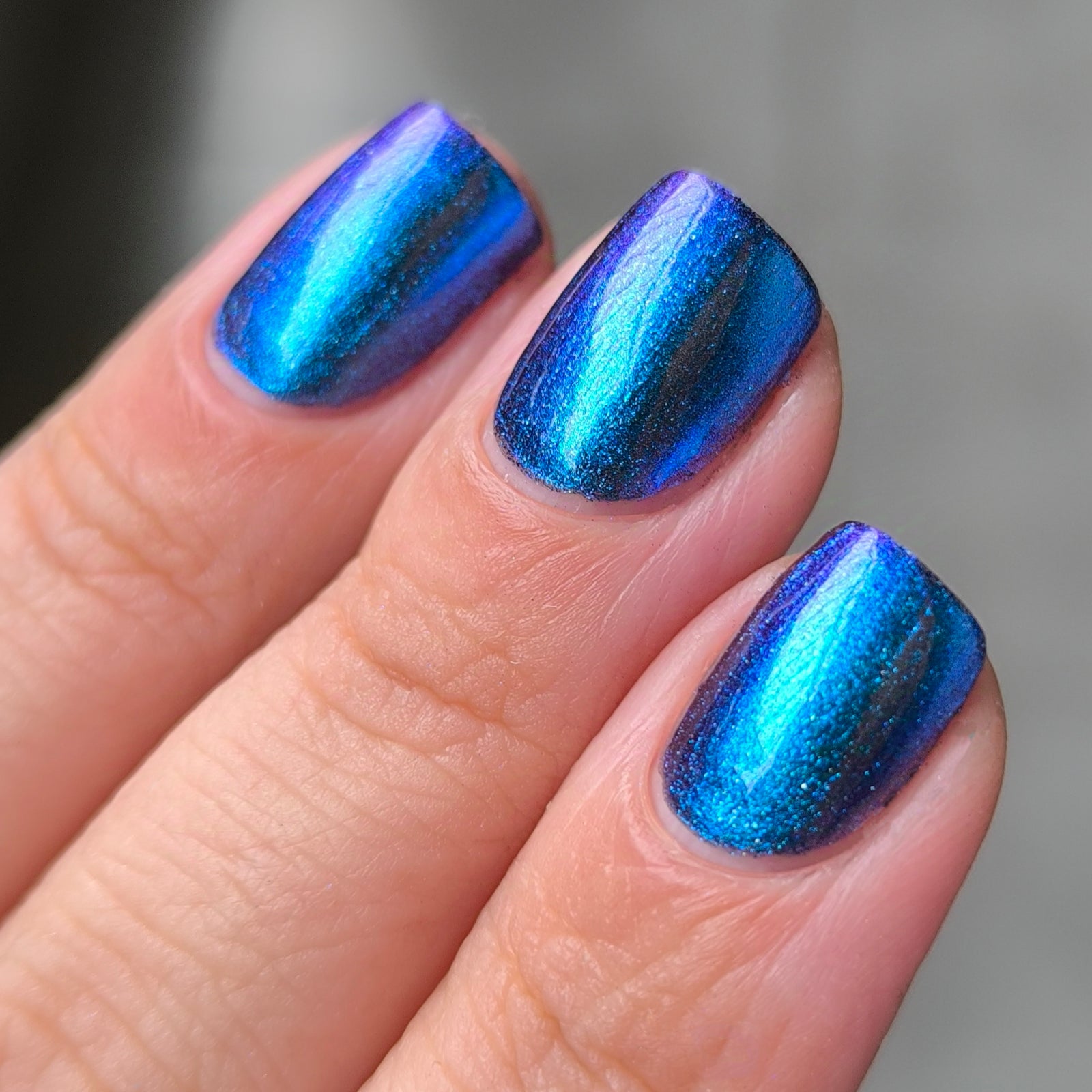 Phoenix- Hummingbirds- Florisuga Mellivora