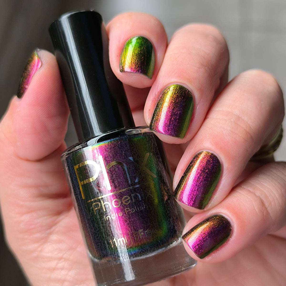 Phoenix- Hummingbirds- Broad Tiled Hummingbird