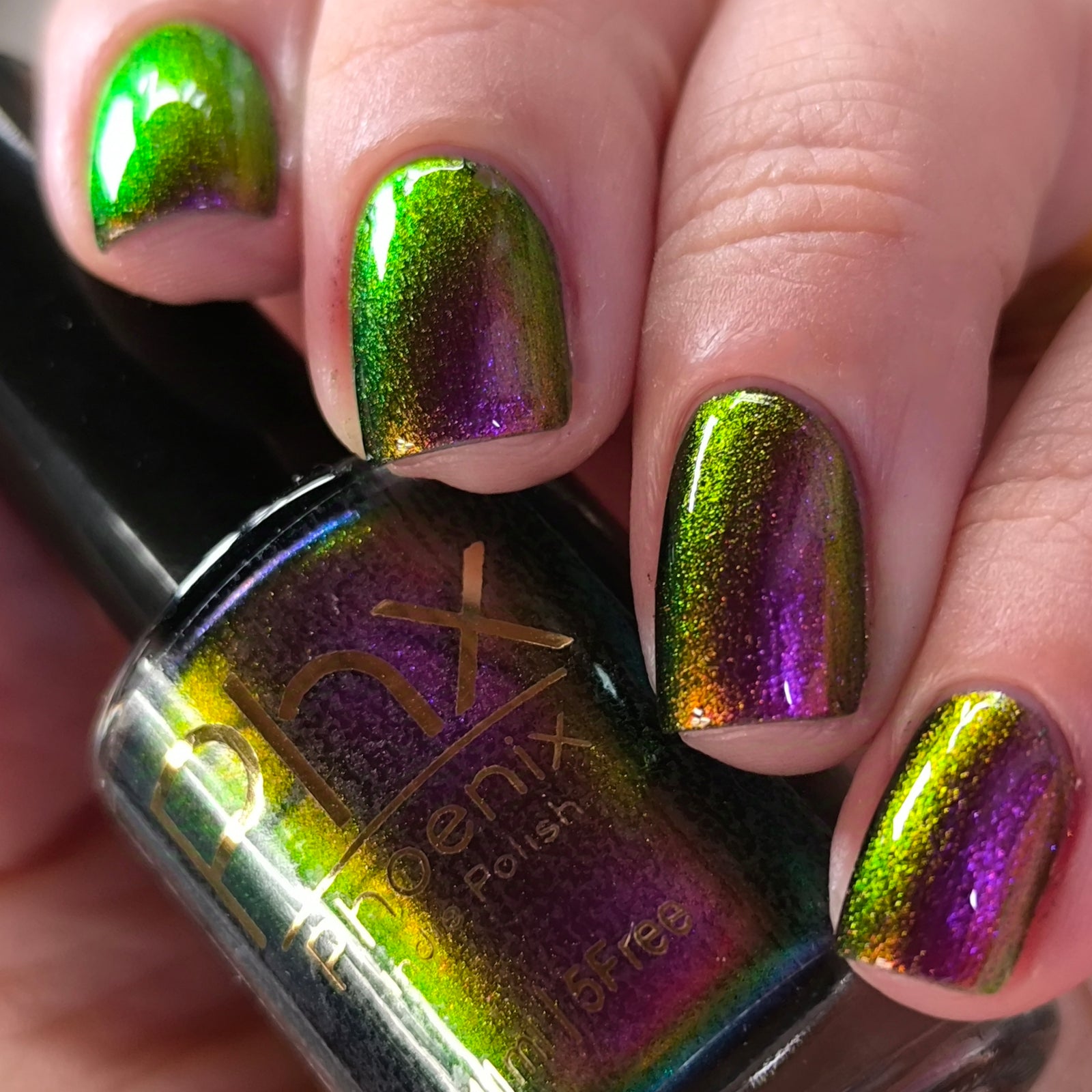 Phoenix- Hummingbirds- Broad Tiled Hummingbird