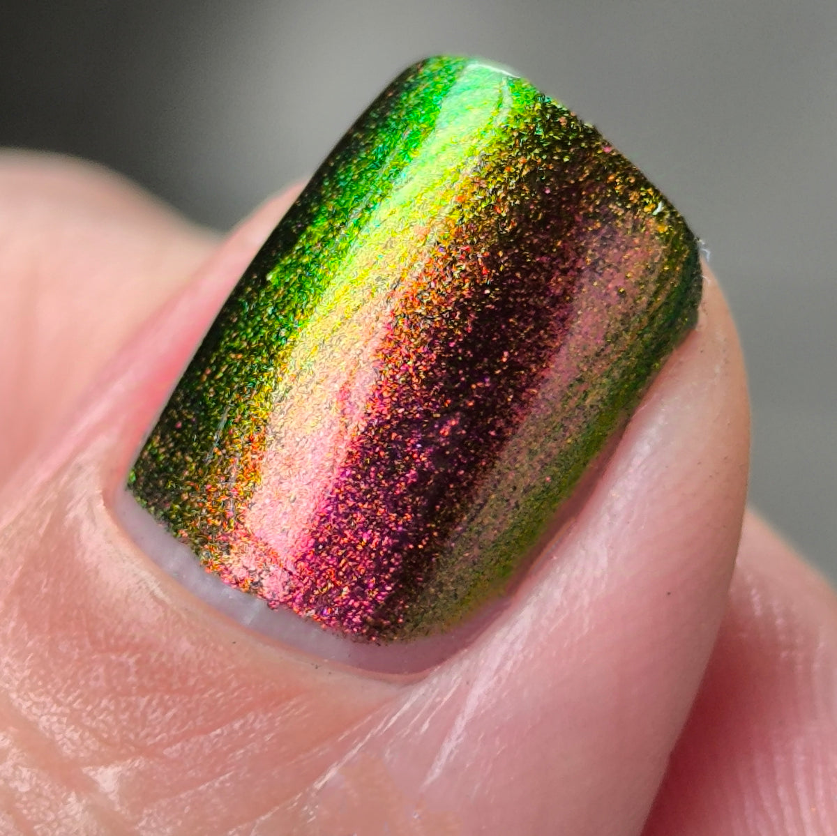 Phoenix- Hummingbirds- Allen&#39;s Hummingbird