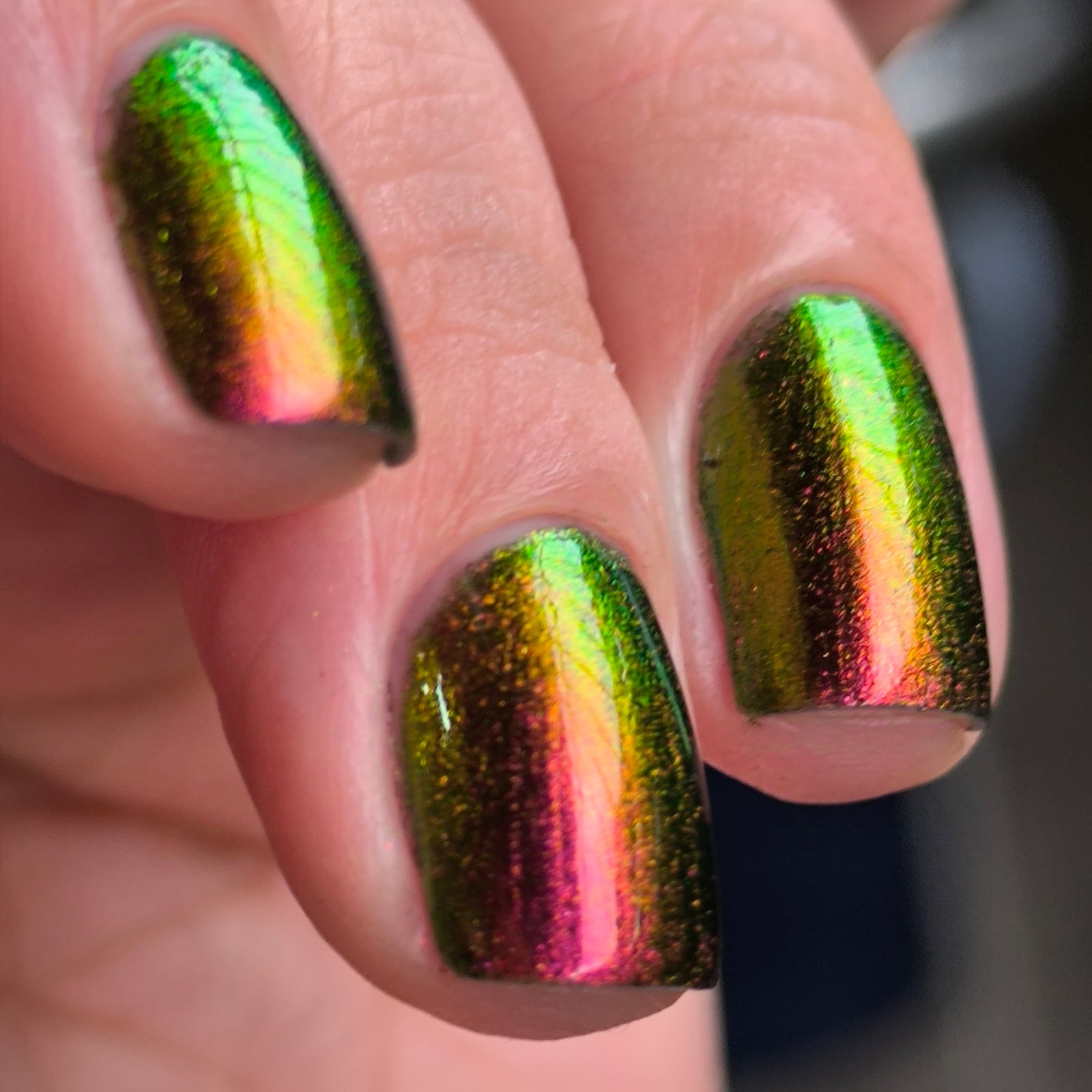 Phoenix- Hummingbirds- Allen's Hummingbird