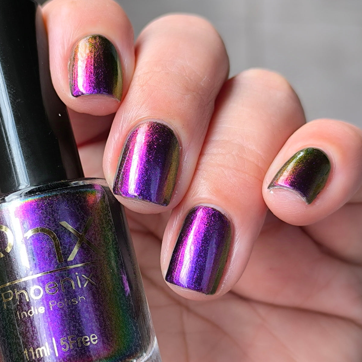 Phoenix- Hummingbirds- Costa&#39;s Hummingbird