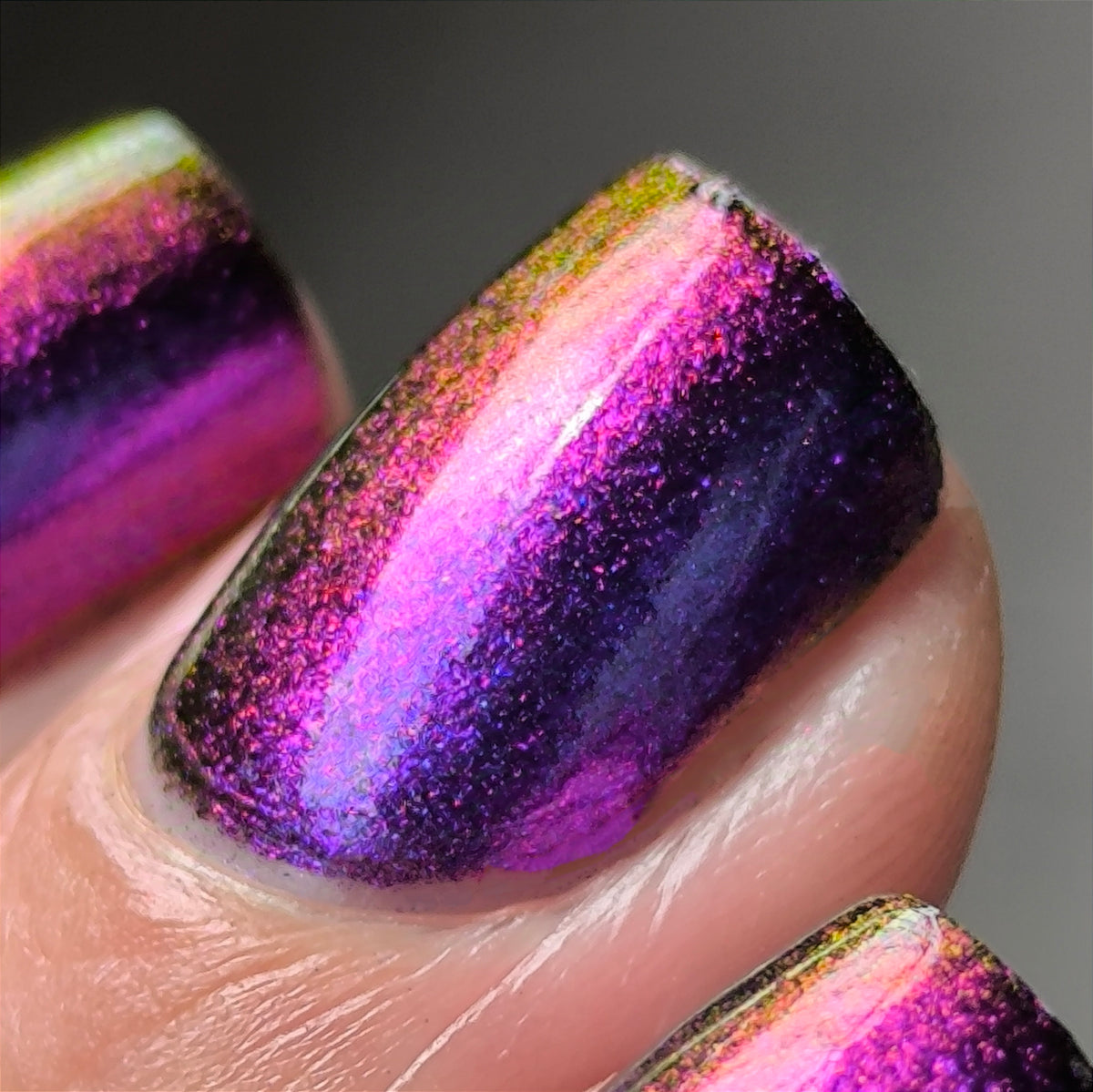 Phoenix- Hummingbirds- Costa&#39;s Hummingbird