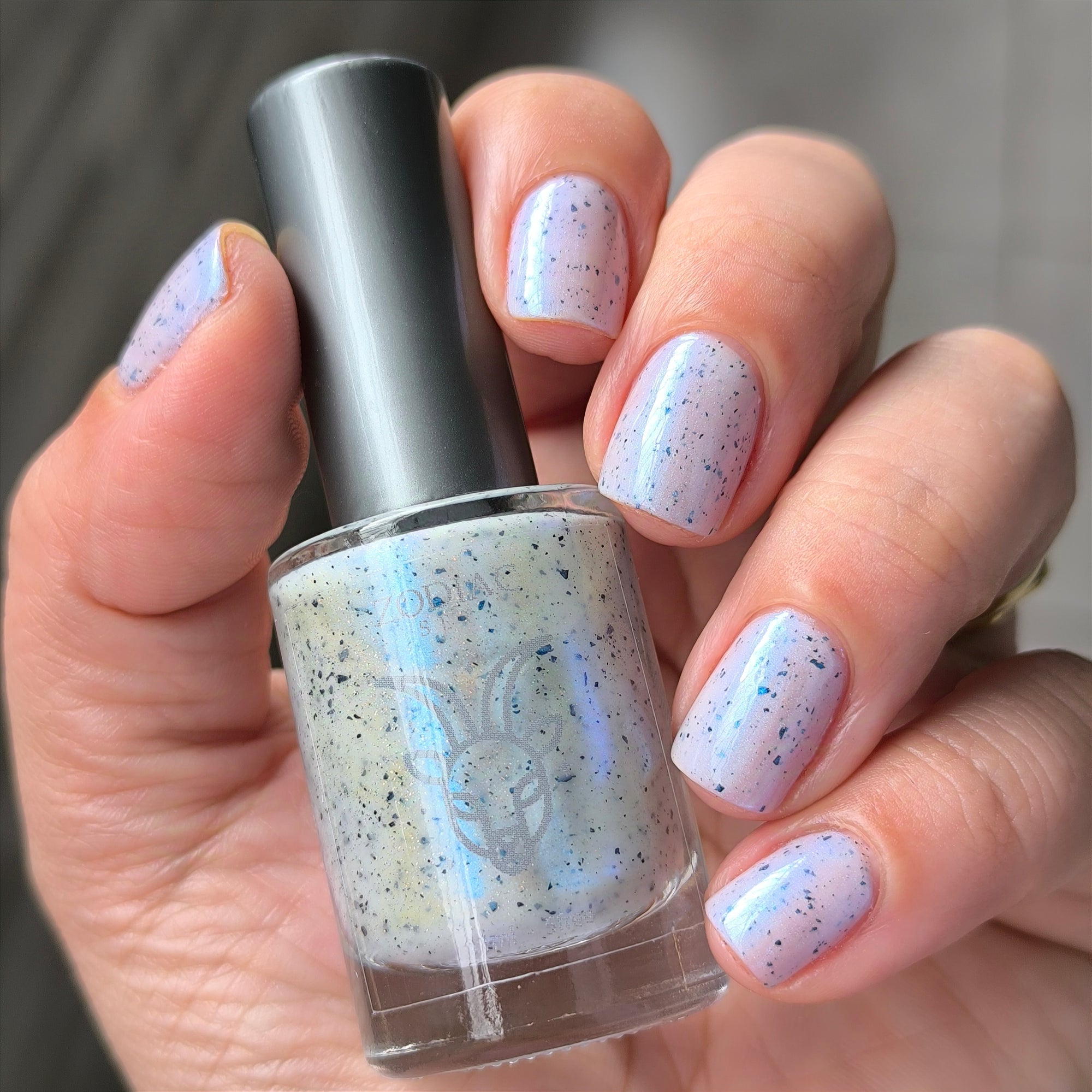 Zodiac Collab- Capricorn- Moonstone v.2