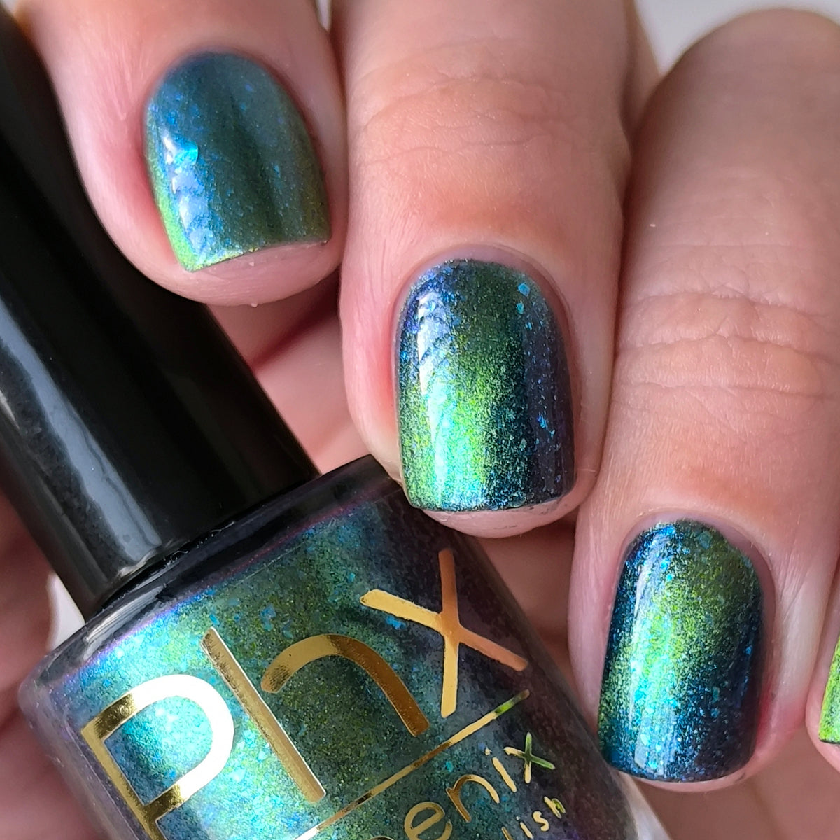 Phoenix- Interstellar- Earth