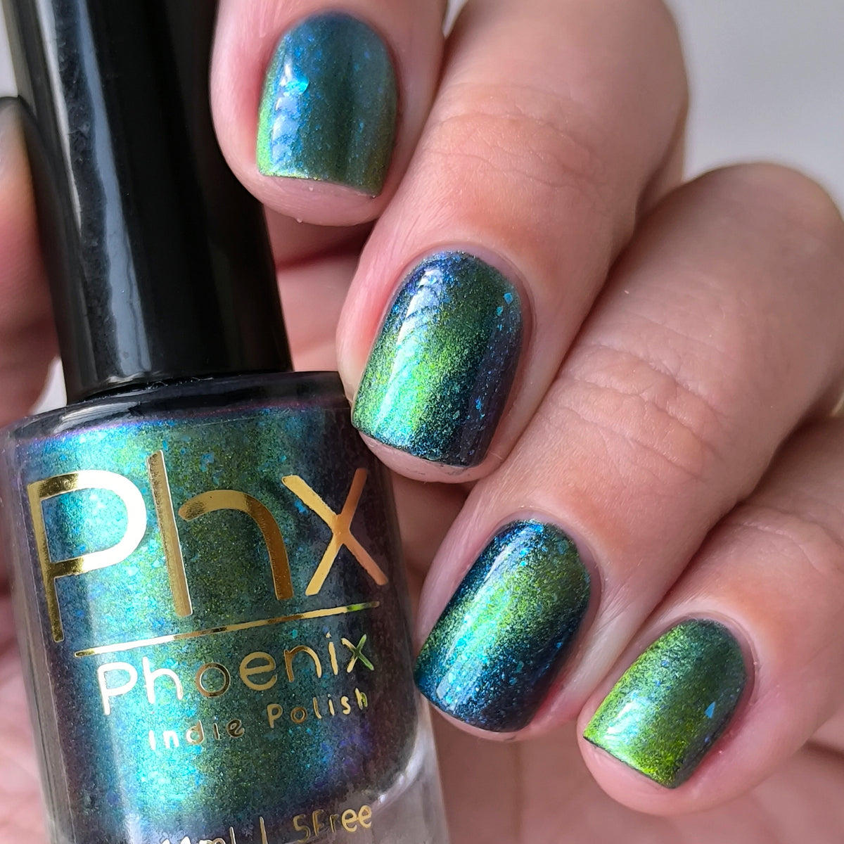 Phoenix- Interstellar- Earth