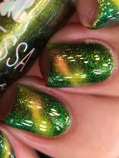 By Vanessa Molina- 7th Bday Party VM- Choose Your Cake Pop