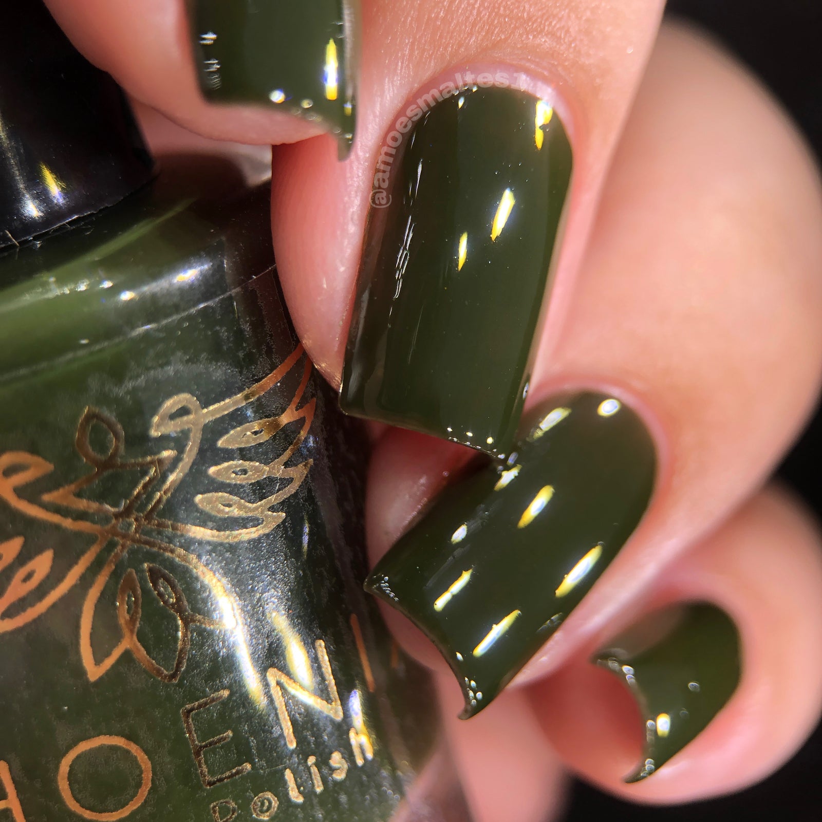 Phoenix- Blood and Fire- Laena