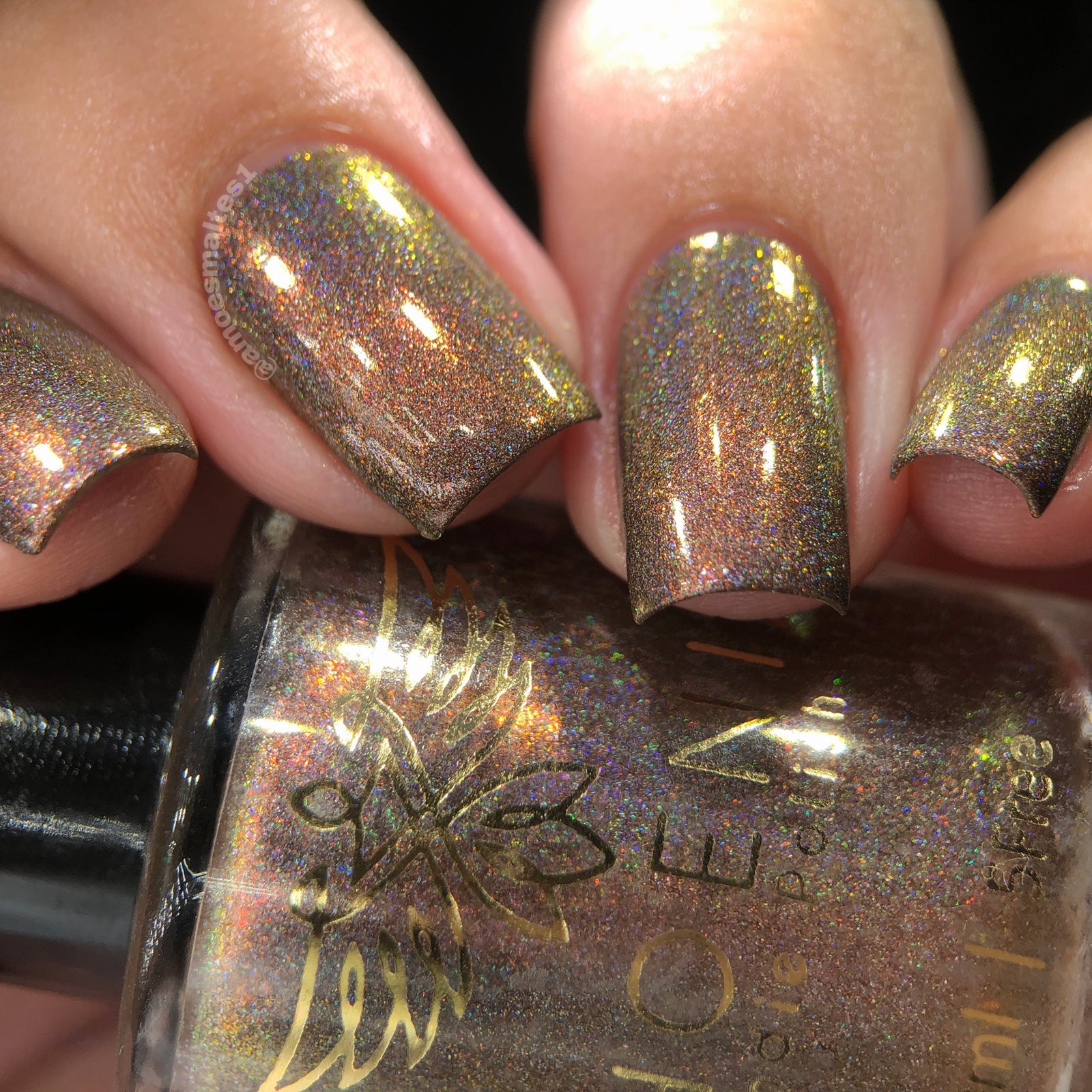 Phoenix- Blood and Fire- Vermithor