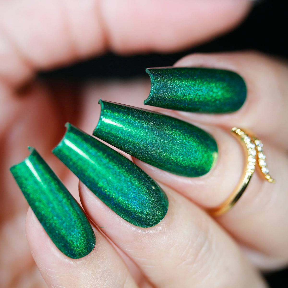 Phoenix- Holos- Caco