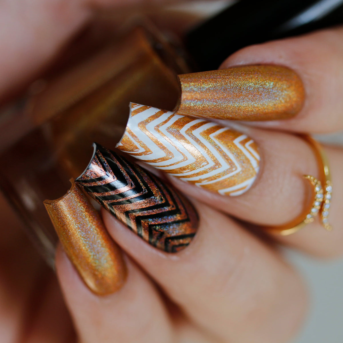 Phoenix- Holos- Mon Petit