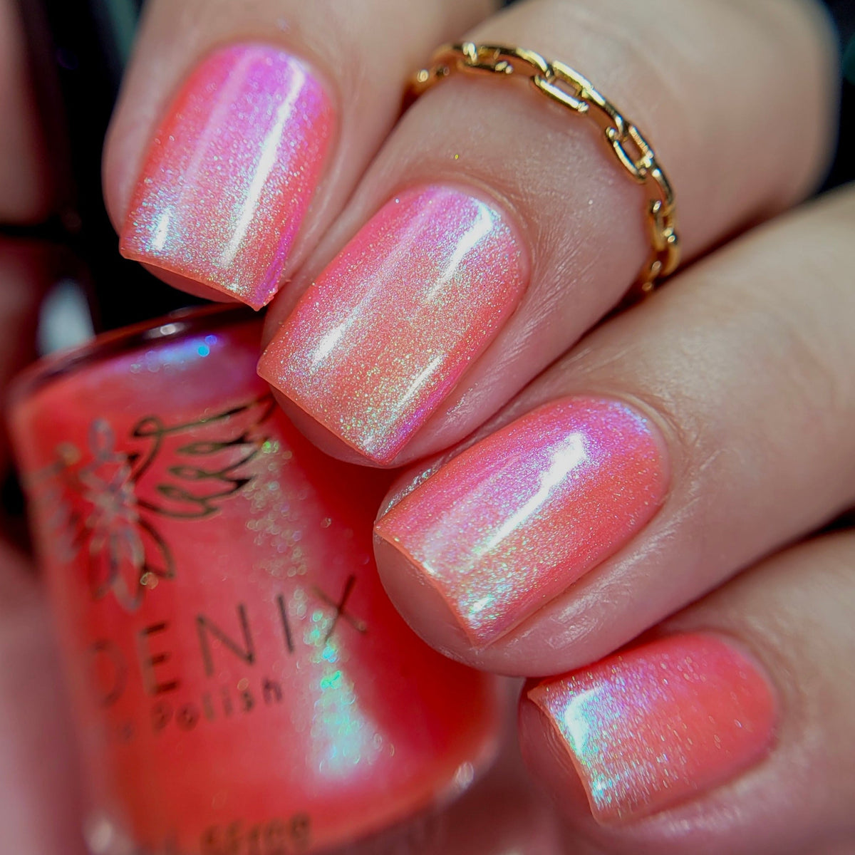 Phoenix- A Special Christmas- Batchelorette