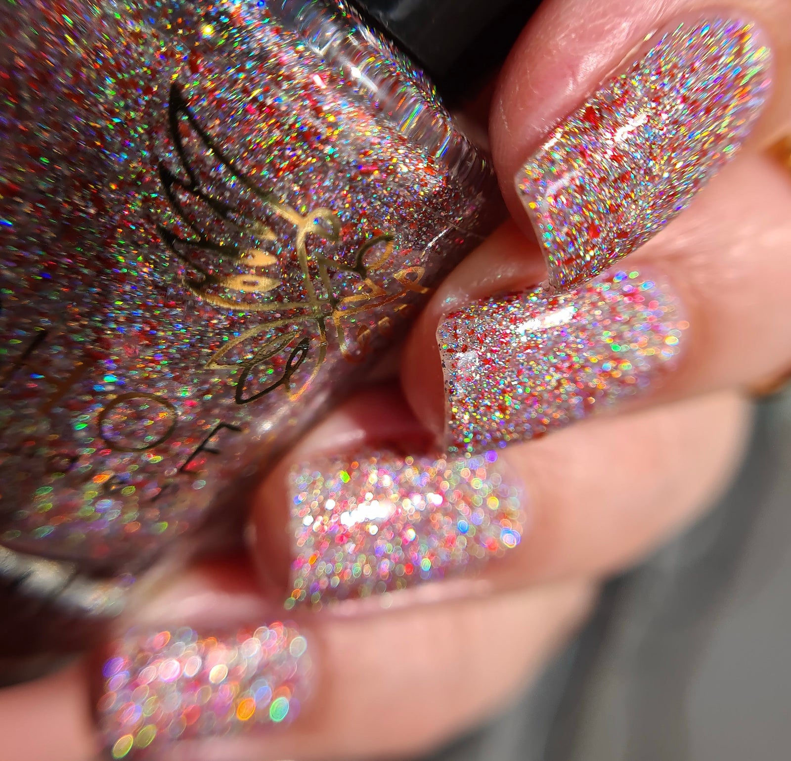 Phoenix- A Special Christmas- Candy Cane