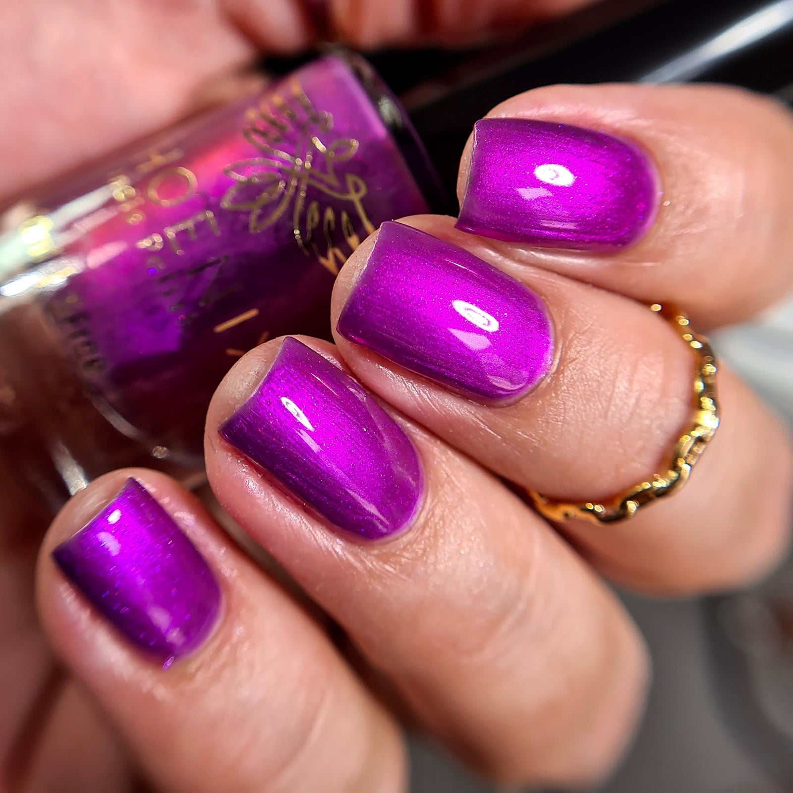 Phoenix- A Special Christmas- Raise Your Hands