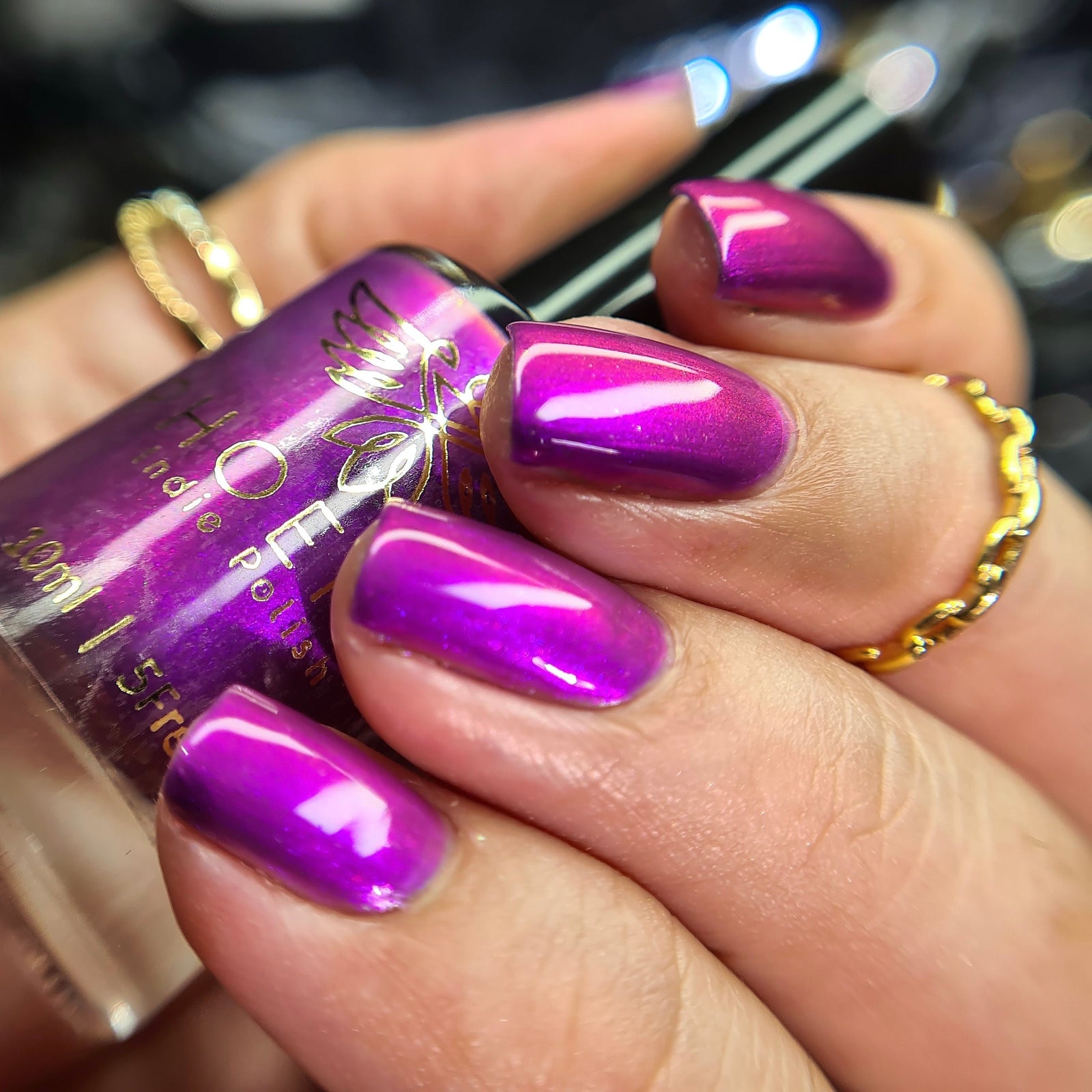 Phoenix- A Special Christmas- Raise Your Hands