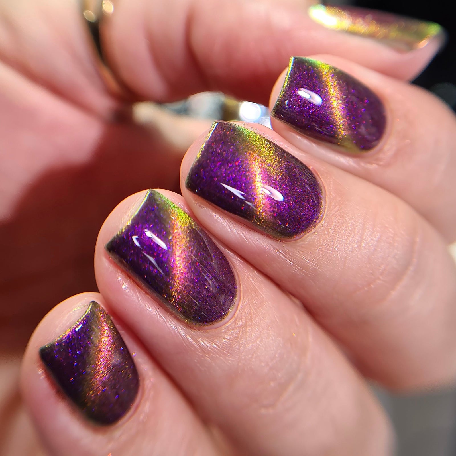 Phoenix- A Special Christmas- For Rocket