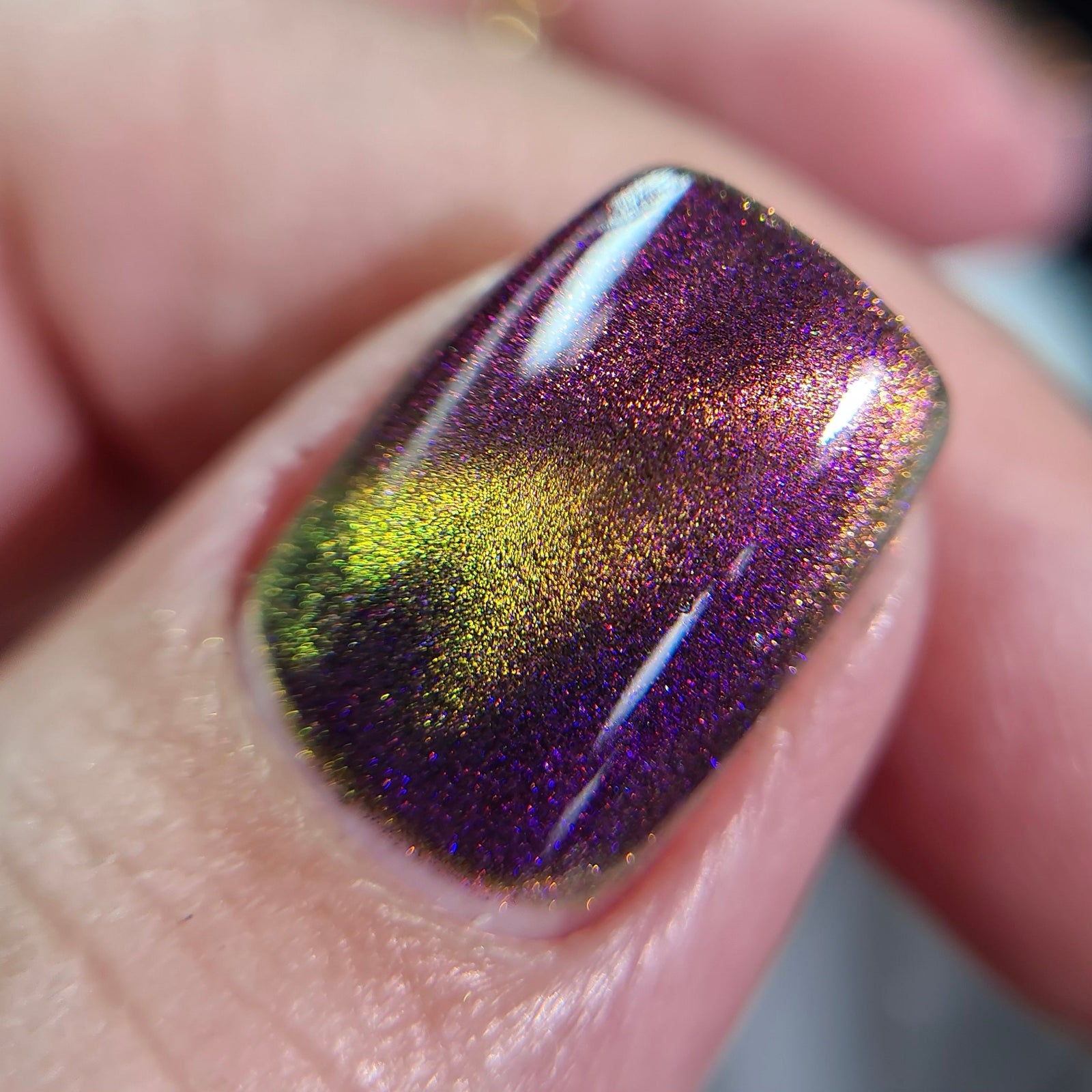 Phoenix- A Special Christmas- For Rocket