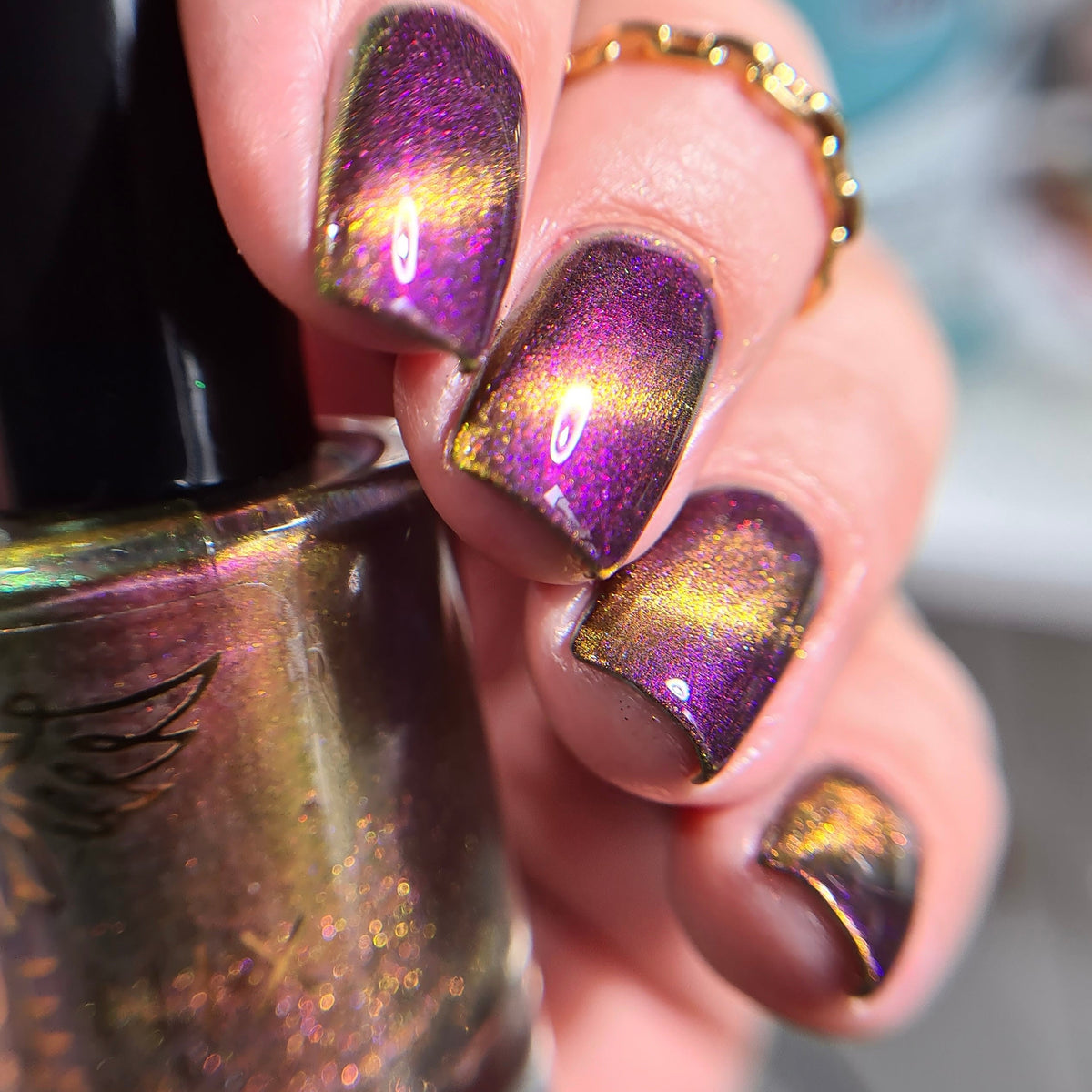 Phoenix- A Special Christmas- For Rocket