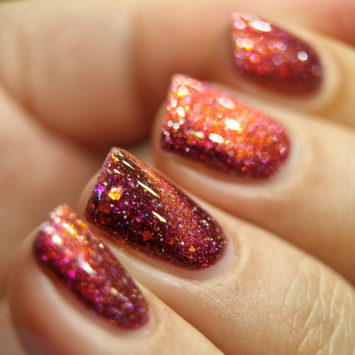 By Vanessa Molina- Feel This Music 2- Animals