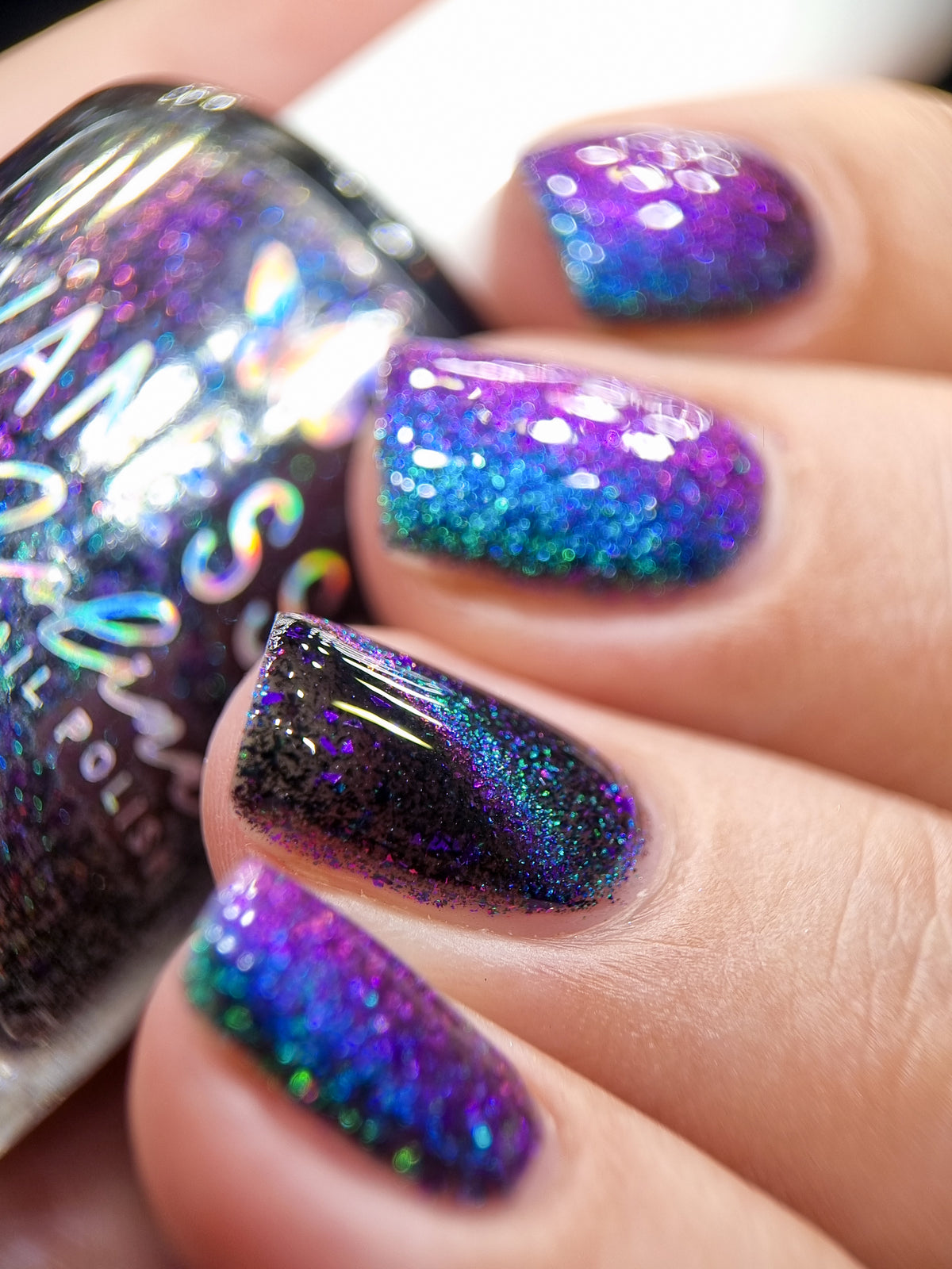 By Vanessa Molina- Scares and Magic- We Will Have a Wedding!