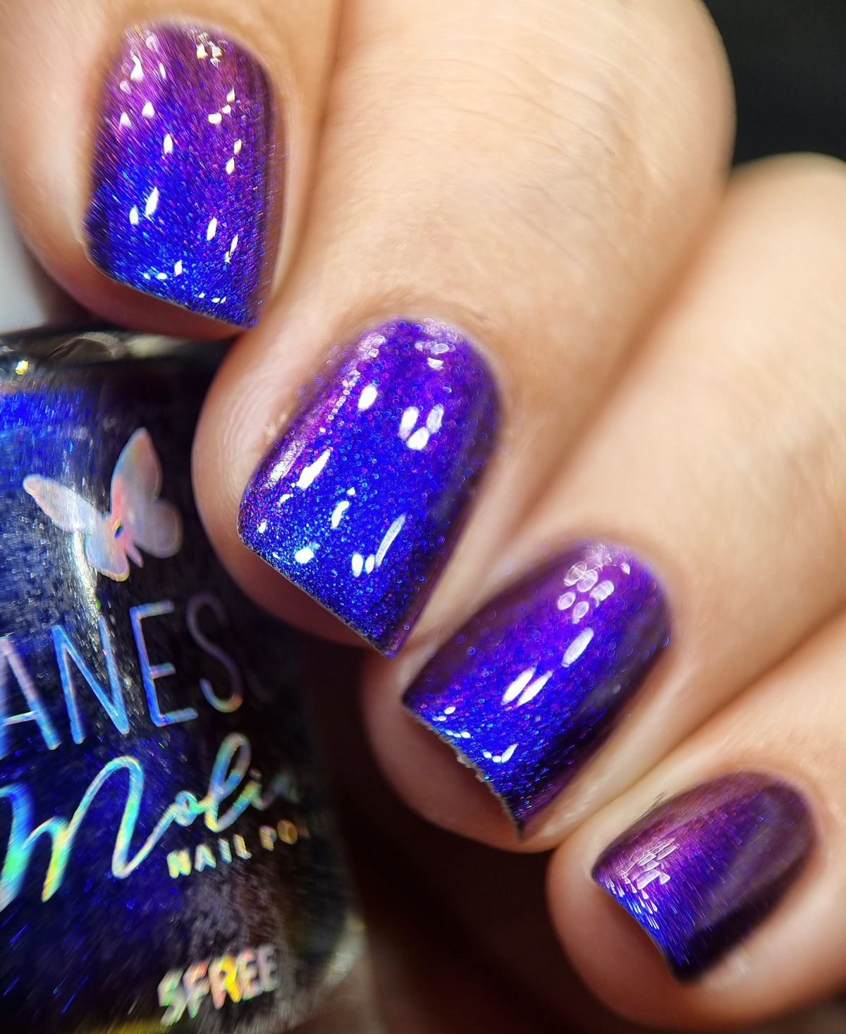 By Vanessa Molina- Scares and Magic- It&#39;s Show Time