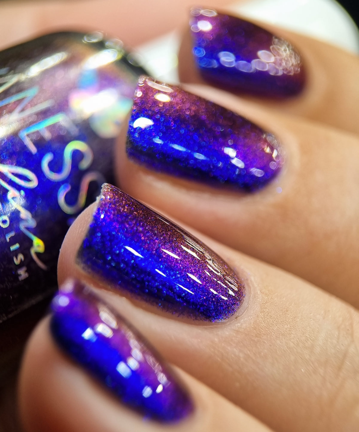 By Vanessa Molina- Scares and Magic- It&#39;s Show Time