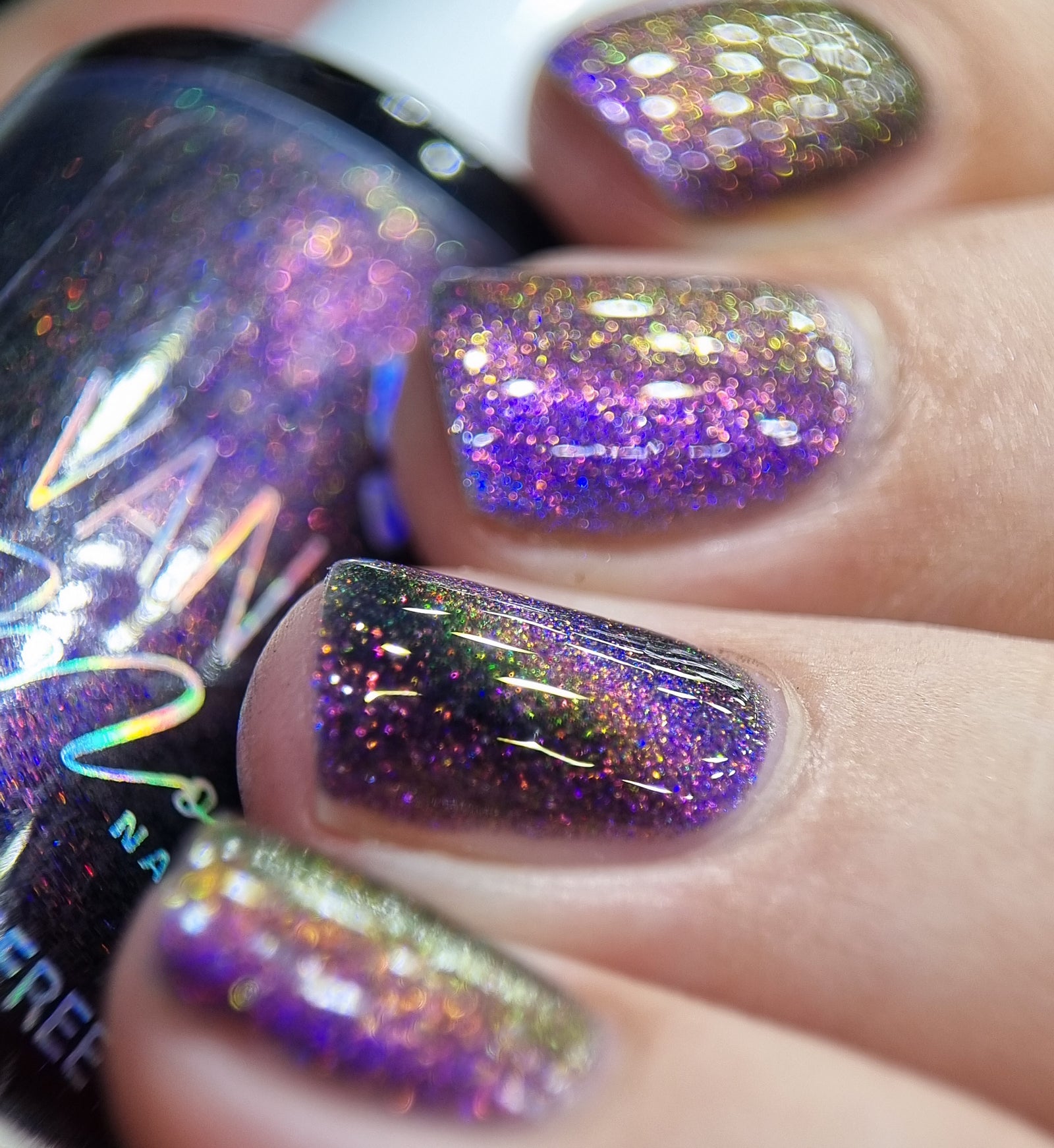 By Vanessa Molina- Rise of the Guardians- At the Fairy Castle