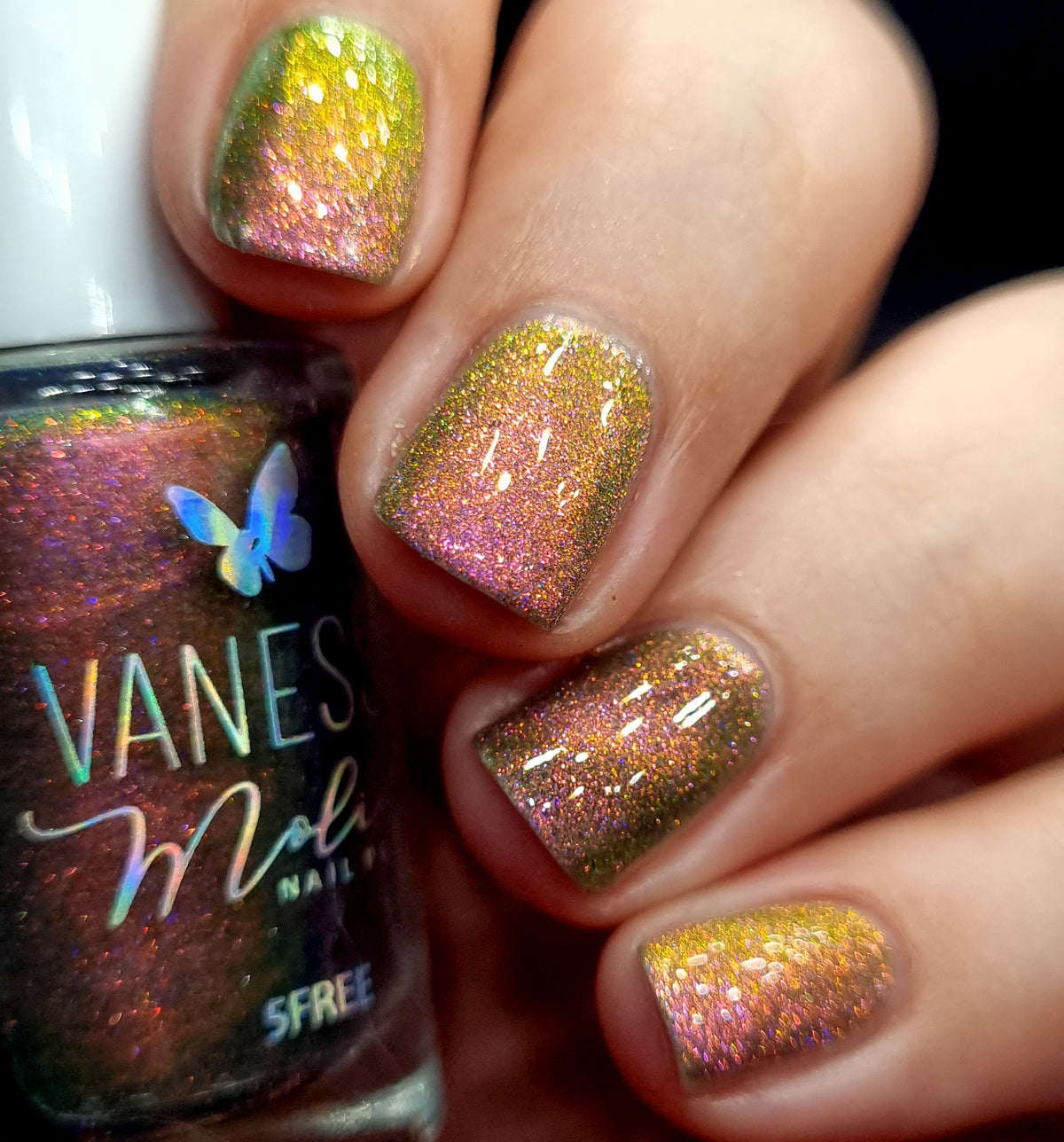 By Vanessa Molina- Rise of the Guardians- Sweet Dreams