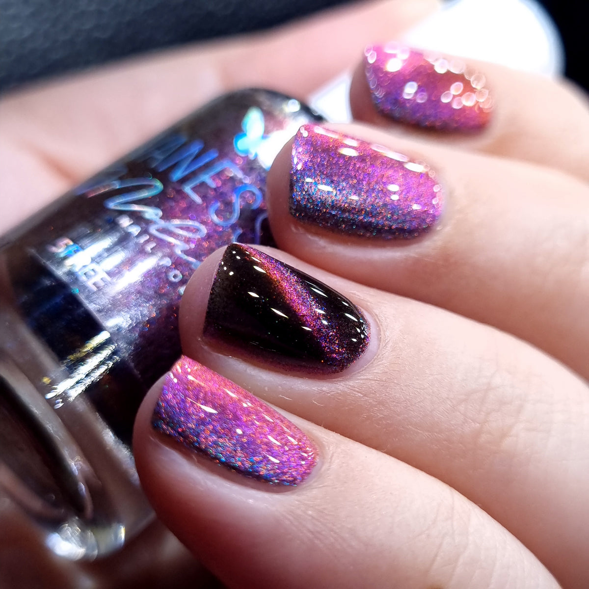 By Vanessa Molina- Rise of the Guardians- Race Through the Sky