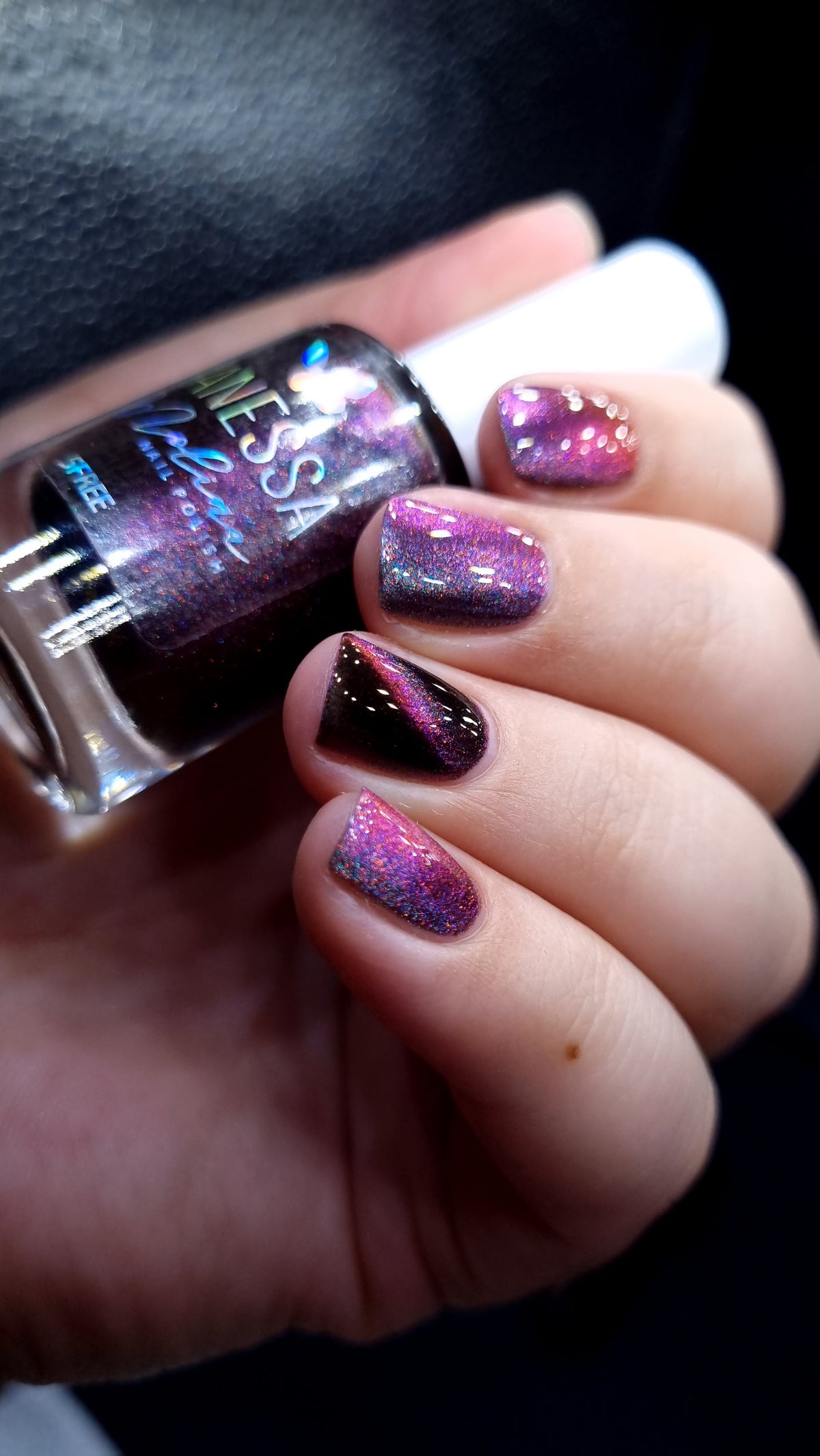 By Vanessa Molina- Rise of the Guardians- Race Through the Sky