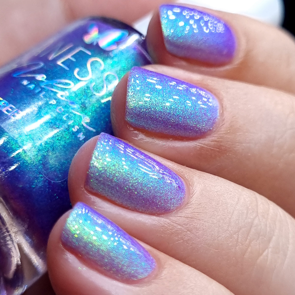 By Vanessa Molina- Rise of the Guardians- Rally Point