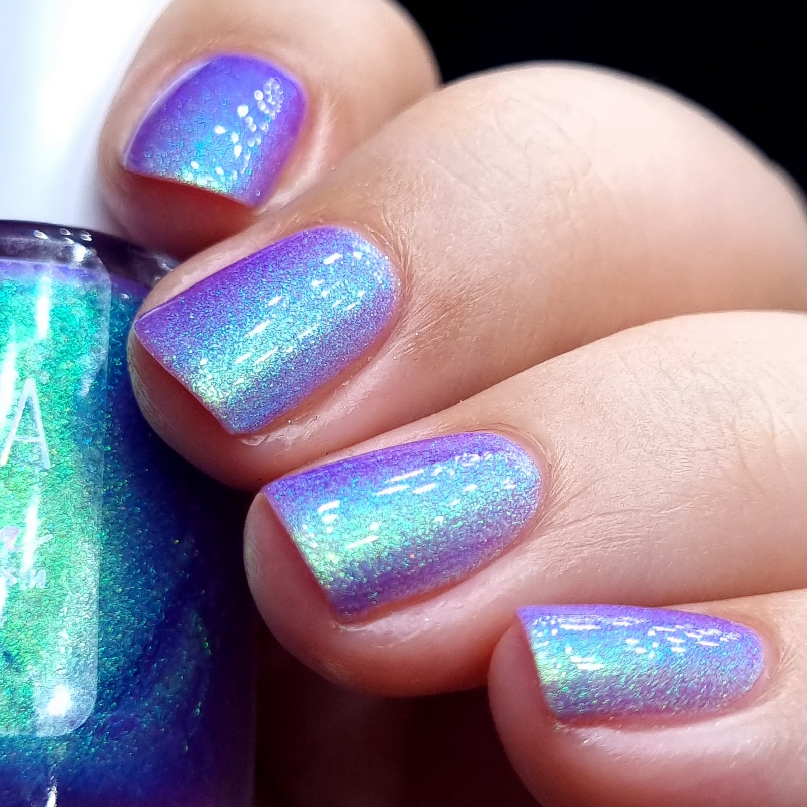 By Vanessa Molina- Rise of the Guardians- Rally Point