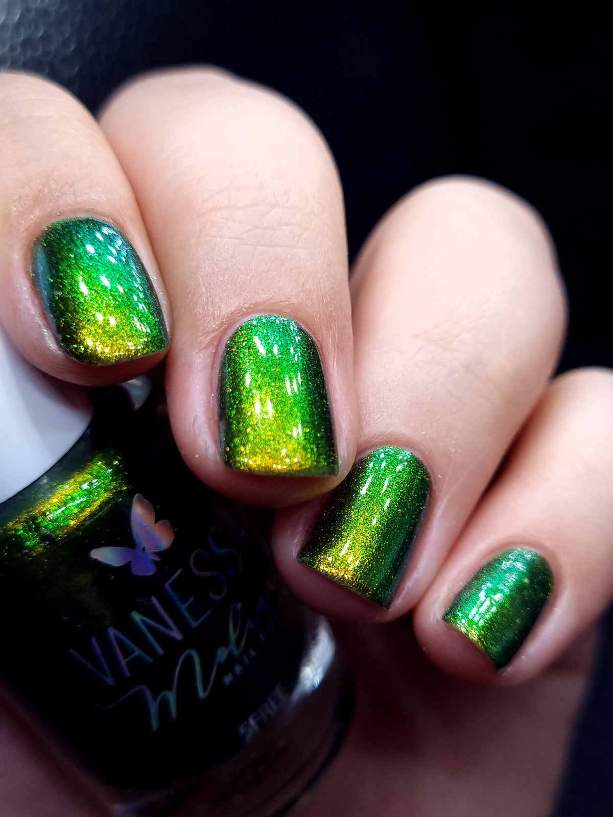 By Vanessa Molina- Rise of the Guardians- Magic Tooth Fairy