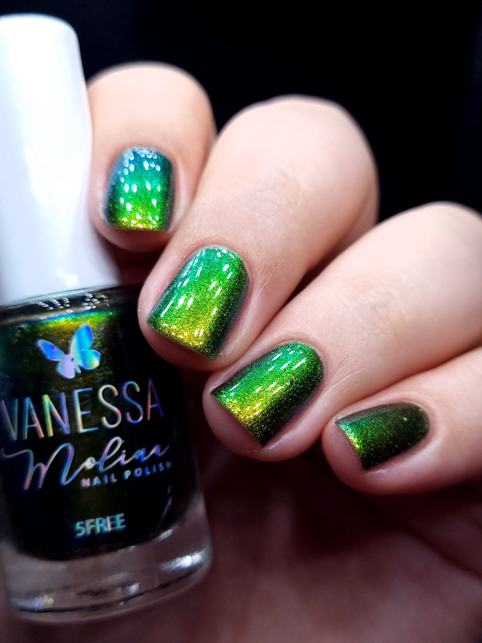 By Vanessa Molina- Rise of the Guardians- Magic Tooth Fairy