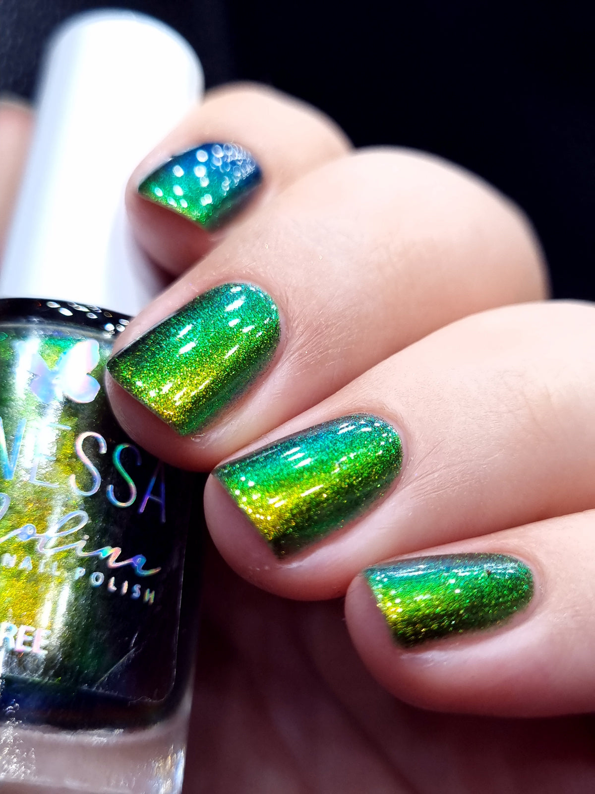 By Vanessa Molina- Rise of the Guardians- Magic Tooth Fairy